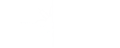 Solis Legal